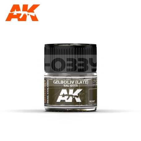 AK-Interactive Real Color - festék - Gelboliv (Late) RAL 6014 - RC087