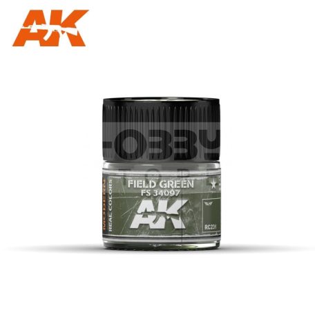 AK-Interactive Real Color - festék - FIELD GREEN FS 34097 - RC231