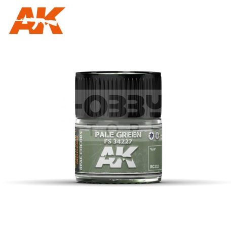 AK-Interactive Real Color - festék - PALE GREEN FS 34227 - RC232