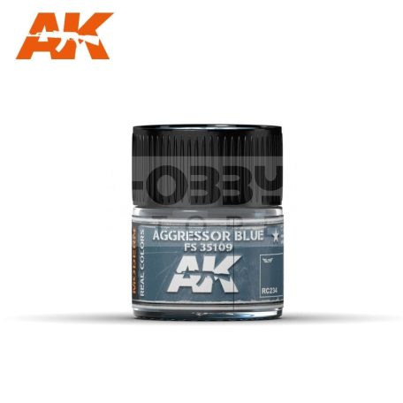 AK-Interactive Real Color - festék - AGGRESSOR BLUE FS 35109 - RC234