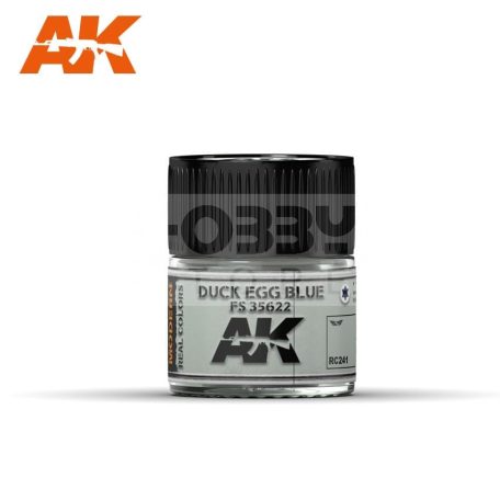 AK-Interactive Real Color - festék - DUCK EGG BLUE FS 35622 - RC241