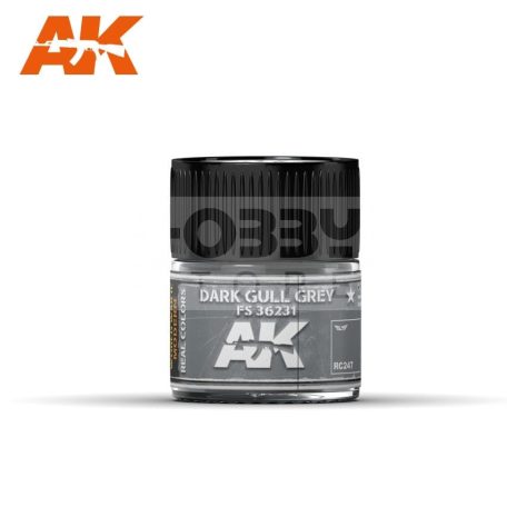 AK-Interactive Real Color - festék - DARK GULL GREY FS 36231 - RC247