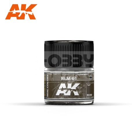 AK-Interactive Real Color - festék - RLM 61 / RAL 8019 - RC268