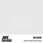 AK-Interactive Real Color - makett festék - White Grey RAL 9002 RC809