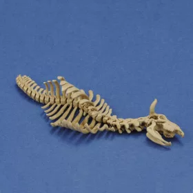   Royal Model Cow skeleton n.1 3D printed – dioráma kellék makett