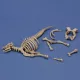 Royal Model Cow skeleton n.3 – dioráma kellék makett