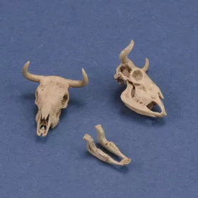 Royal Model Cow skulls – állatfigura makett