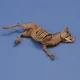 Royal Model Donkey carcass – állatfigura makett