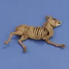Royal Model Donkey carcass – állatfigura makett