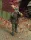 Royal Model SS-Panzergranadier-Rgt (Stumont)WWII – figura makett
