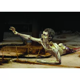   Royal Model Zombie-/half body 'Zombies serie' – figura makett