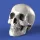 Royal Model Skulls (75mm) – dioráma kellék makett