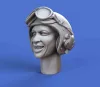 Royal Model U.S. tanker 'Vietnam' heads – figura makett