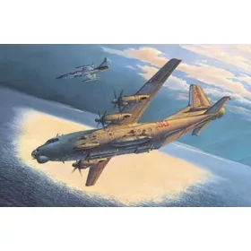 Roden An-12 BK-PPS – 1:72 repülőgép makett