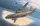 Roden An-12 BK-PPS – 1:72 repülőgép makett