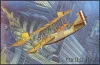 Roden Curtiss H16 – 1:72 repülőgép makett