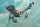 Roden Nieuport 24bis – 1:72 repülőgép makett