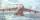 Roden Lockheed C-5M Super Galaxy – 1:144 repülőgép makett