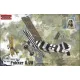 Roden Fokker D.VII (early) – 1:48 repülőgép makett
