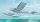 Roden L-19/O-1 Bird Dog Floatplane – 1:32 repülőgép makett