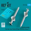 ResKit Models Exocet missiles (2 pcs) (Sea King, Super Etendard, Mirage 2000, Rafale, Mirage F.1) (3D Printed) - Exocet – rakéták, 2 db
