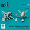 ResKit Models AGM-142 Popeye/Have Nap missiles (2 pcs) (F-4E, F-15I, F-111C, B-52G/H) (3D Printed) - AGM-142 Popeye/Have Nap – rakéták, 2 db