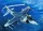 Trumpeter AV-8B Night Attack Harrier II – 1:32 repülőgép makett